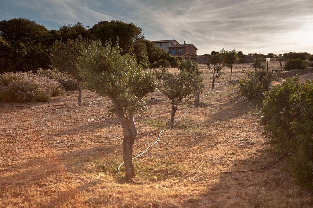Agriturismo Nuraghe Tuttusoni Aglientu Luaran gambar
